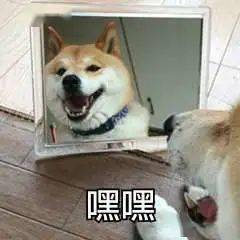 嘬嘬嘬小狗表情包 edfd95a08f6b4a9bbf830808dc3a43c5.jpeg