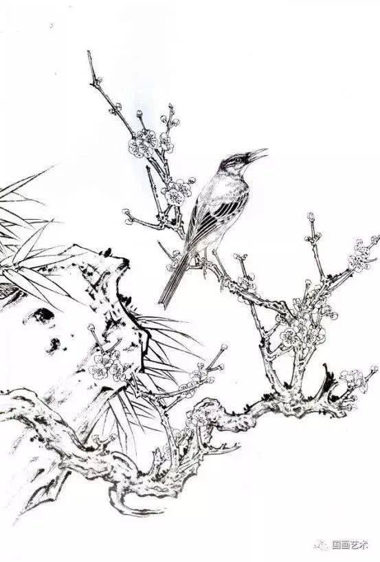 白描素材,多幅梅花小鸟