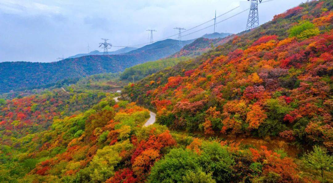 平陆县大河庙层林尽染风景美如画