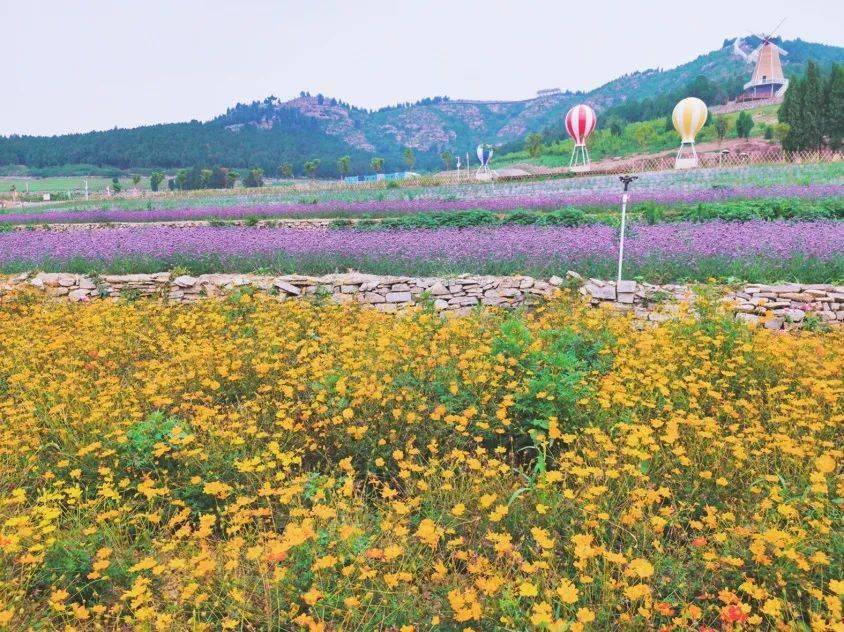 平阴县北石硖村