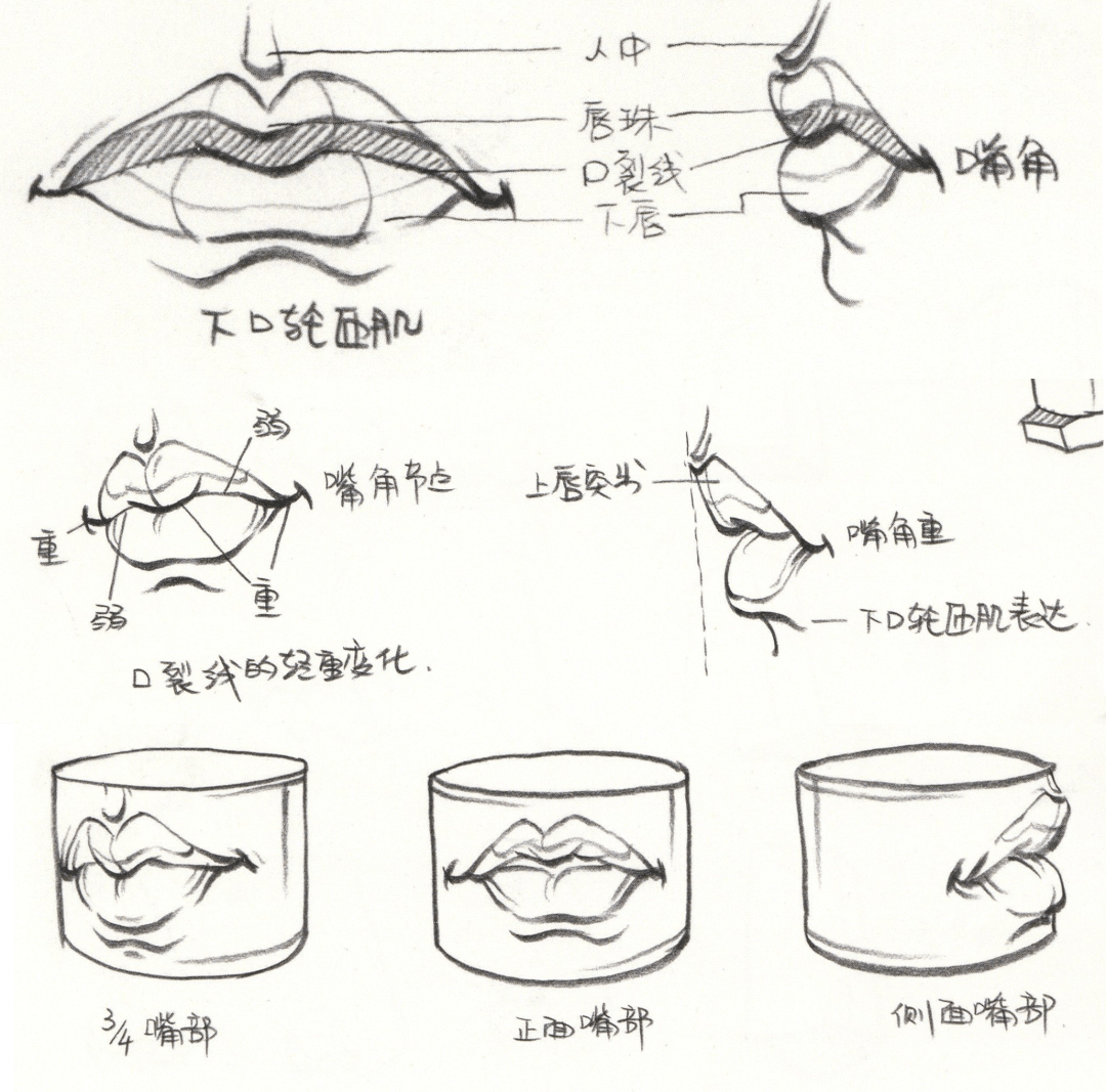 干货分享速写人物之头部骨骼肌肉五官的刻画表现