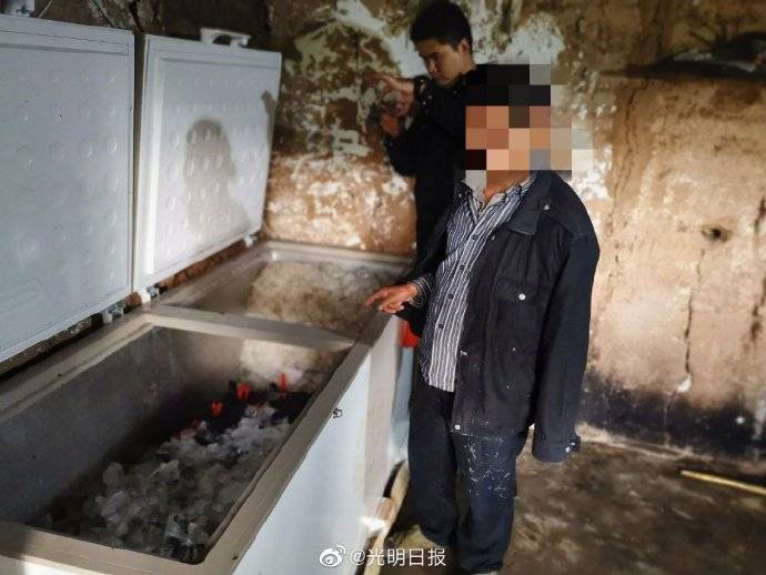 触目惊心!27天捕鸟8万余只被抓