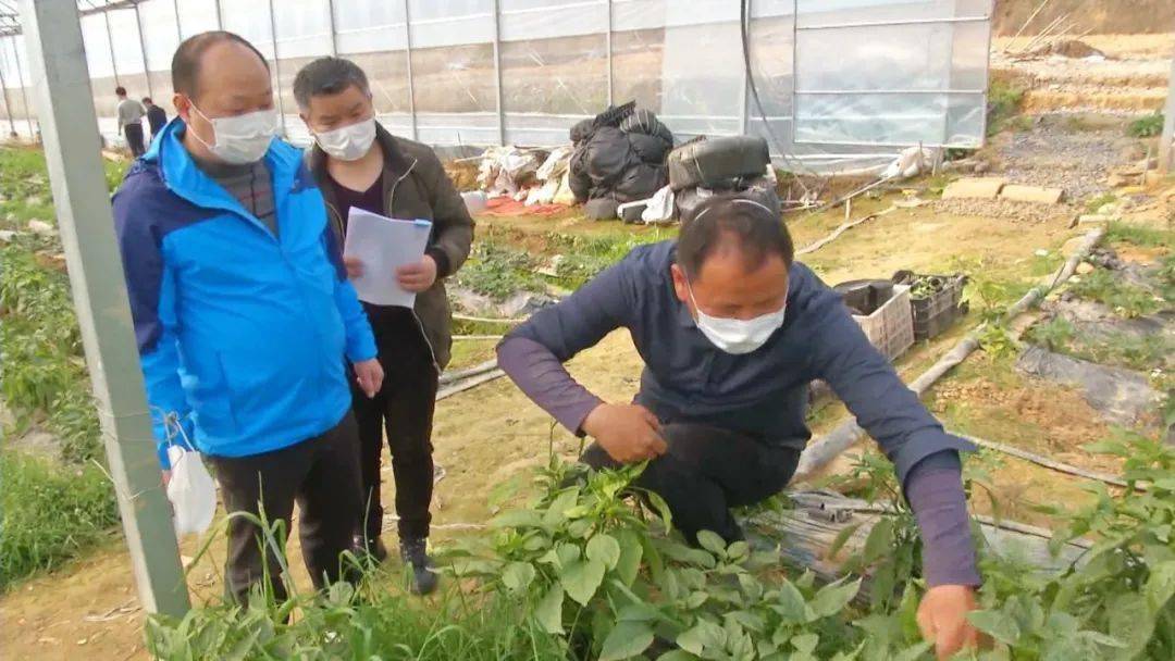 激流勇进 初露锋芒痛定思痛,他再次请教恩师魏建敏,并结合失败经验