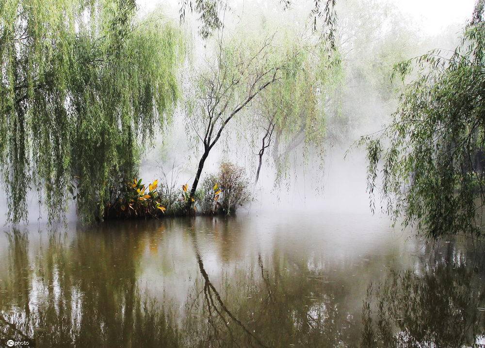 郑州植物园雾森系统宛如仙境 成网红“打卡地”