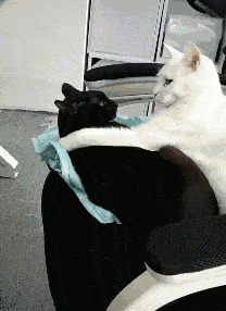 肌肤|空了50瓶身体乳,我总结出了史上最全身体护理指南!