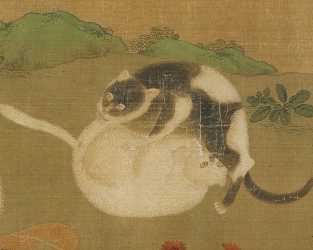 小猫|2万人围观“宋朝人买猫下聘礼”，古代铲屎官：别小瞧这行