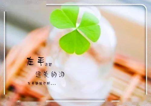 说与不说都是伤害 3c56a99d0bd7416b9dca68ad71d511bb.jpeg