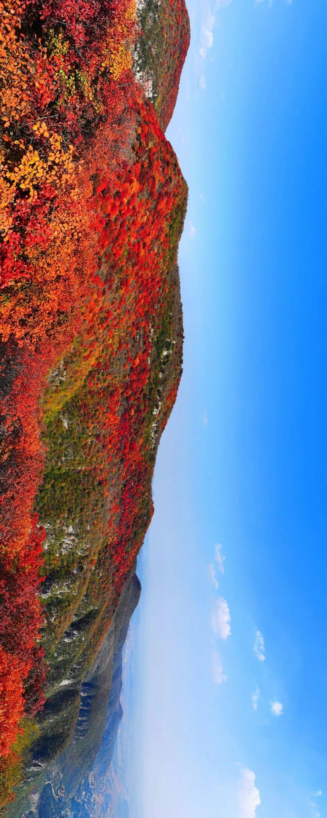 地址:邢台市沙河市册井乡白庄村金沙河佛照山.
