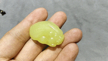 黄口多少人口_博社村人口多少