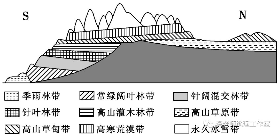 【备考干货】高考微专题:山地垂直带谱图的判读