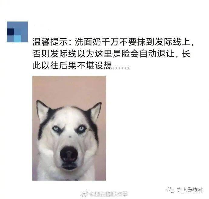 e500b7a3fa674e7380cb41b8528083b9.jpeg