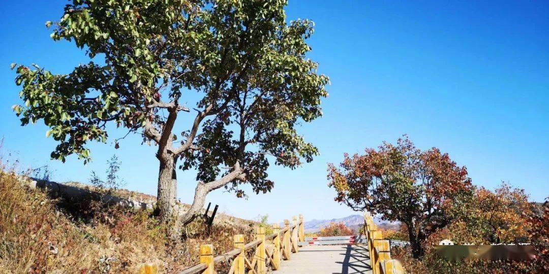 凌源市城关镇安杖子村"九头山"景区秋韵好风光