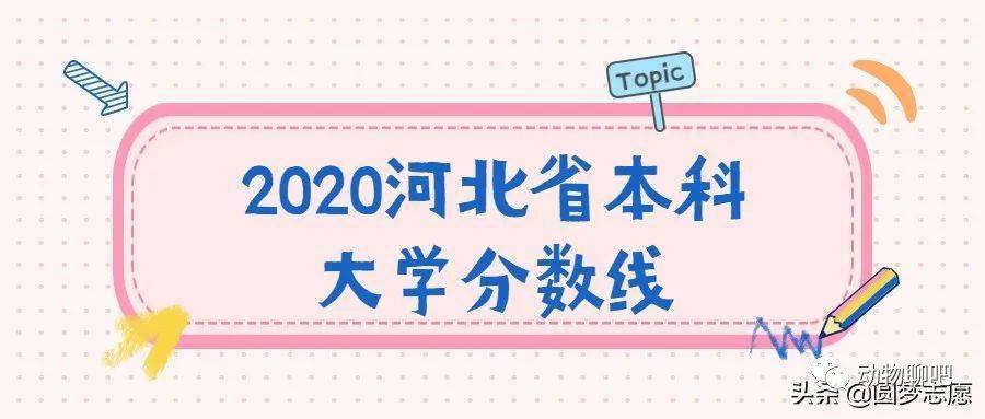 2020全国高考录取率_2020年全国各省高考录取率对比,预测2021高考录取率趋