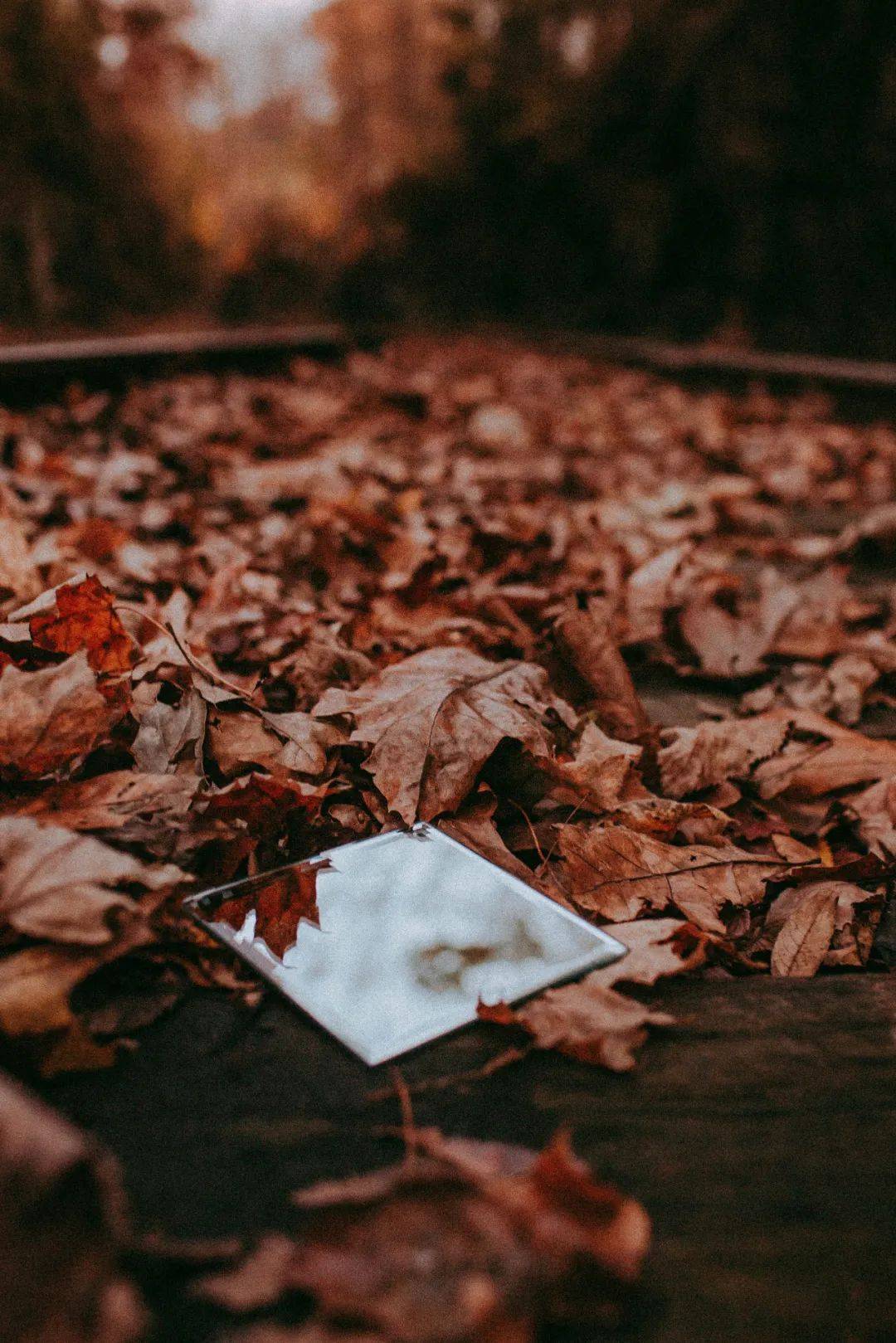 很喜欢这句话:愿现在所有肝肠寸断的苦难和诸多不幸,在未来的一天都会