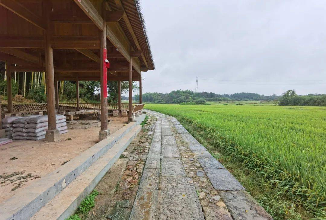 游垫村旅游开发建设正在.