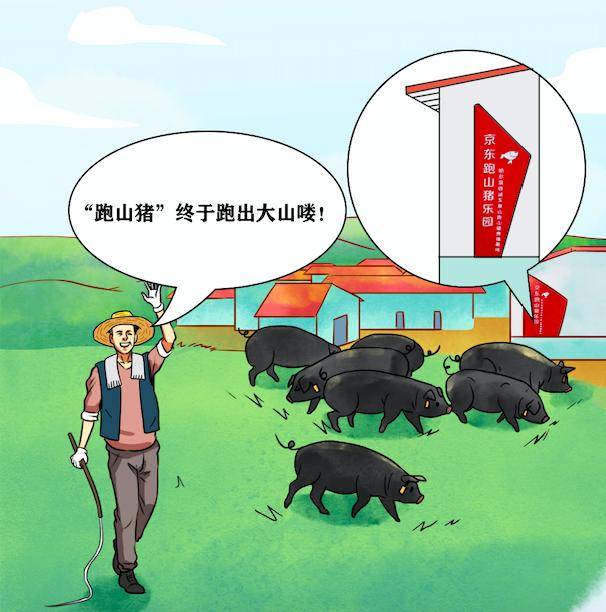 京心助|京心助农交出亮眼成绩单：累计销售3亿件农产品，决战决胜脱贫攻坚