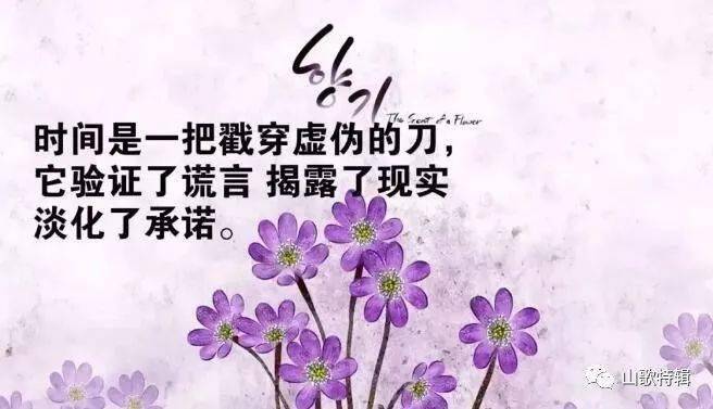 d1a894b9260148d49355b033e0495007.jpeg