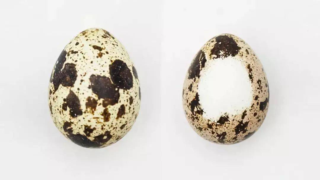 牙膏|揭秘！全球80万牙医不洗牙的秘密...