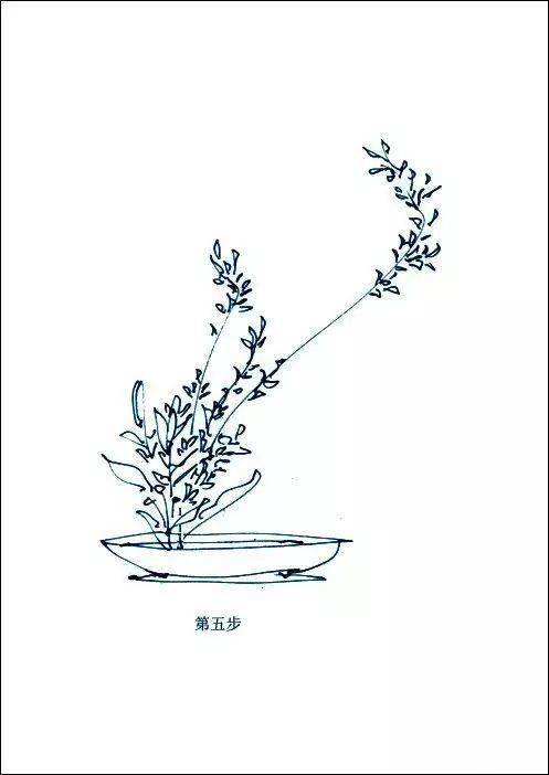 技| 中式插花布局技巧(图解)