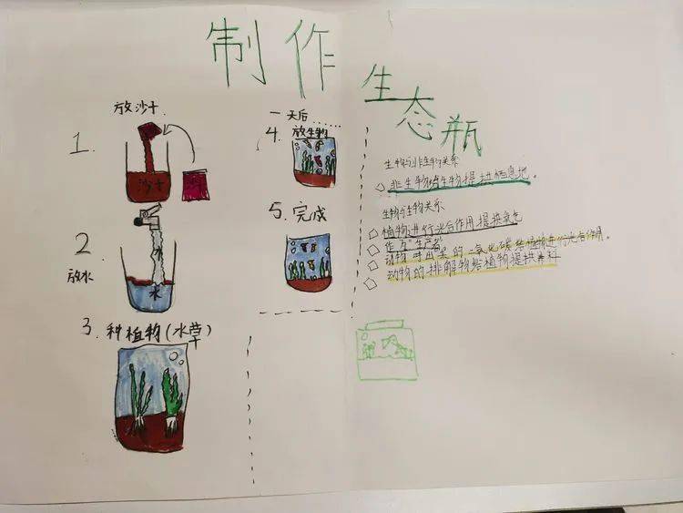 同学们的生态瓶制作都展现出了自己所理解的生态系统,相信同学们在