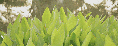 500_197gif 动态图 动图