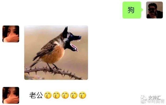 “外卖商家：你这图拍的比差评还吓人！”哈哈