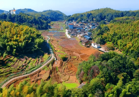 坐标延平区,这些赏秋地点你准备打卡吗?