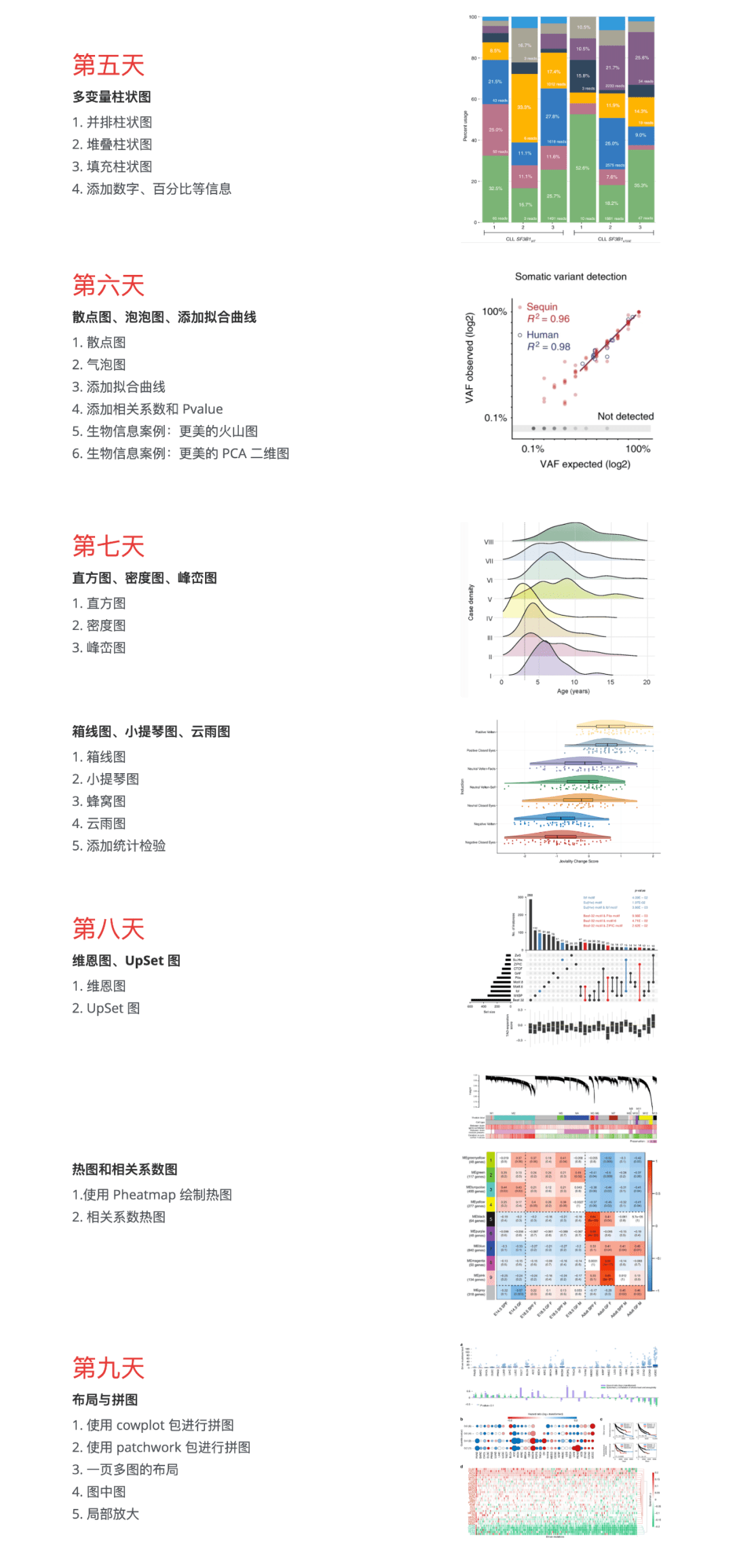 实用人口_人口普查(2)