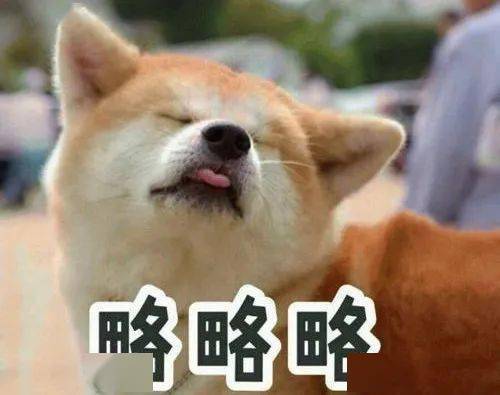 732c9a69e1a6448b937d60906af20ee9.jpeg