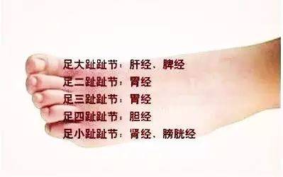 bcf11a9101624cadb58095b8af2465e7.jpeg