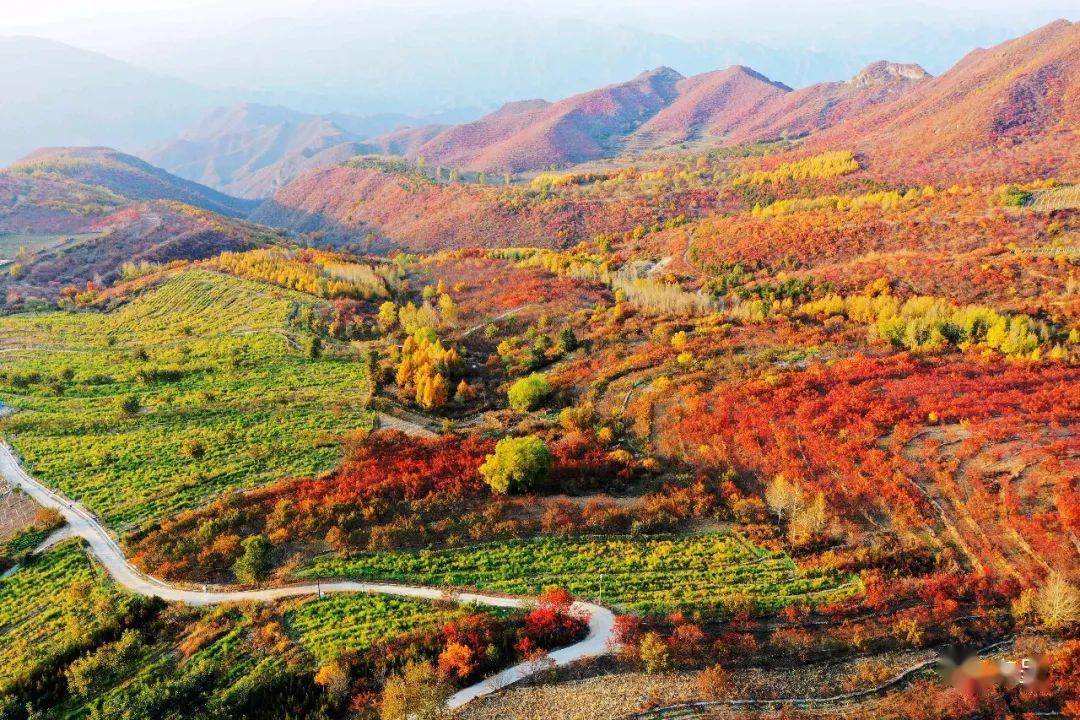 北京的秋色,在这里,这里,这里……_百花山
