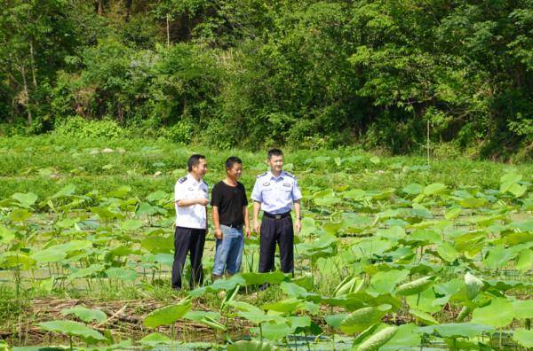 @iPhone|@iPhone12，蓝色，还是我们专业