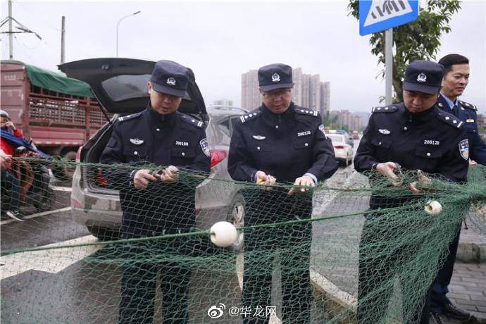 相关|严厉打击！永川警方集中公开销毁非法捕捞渔具50余套