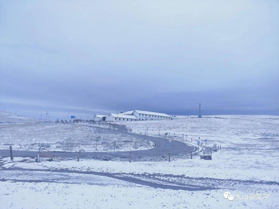 昭通大山包下雪啦.