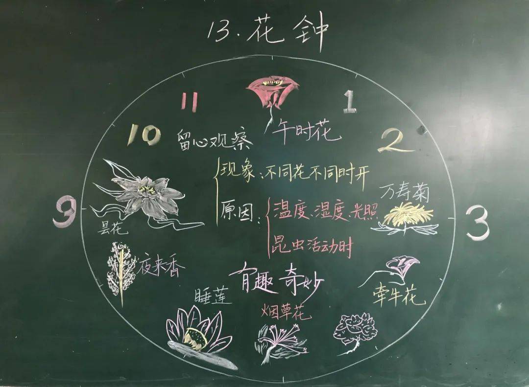 板书|写板书是一门技术也是一门艺术，来看上海教师们的板书