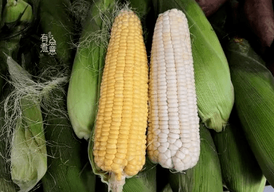 柿子|别忘给家人吃“五宝”,应季而食,顺应时节身体棒明日霜降