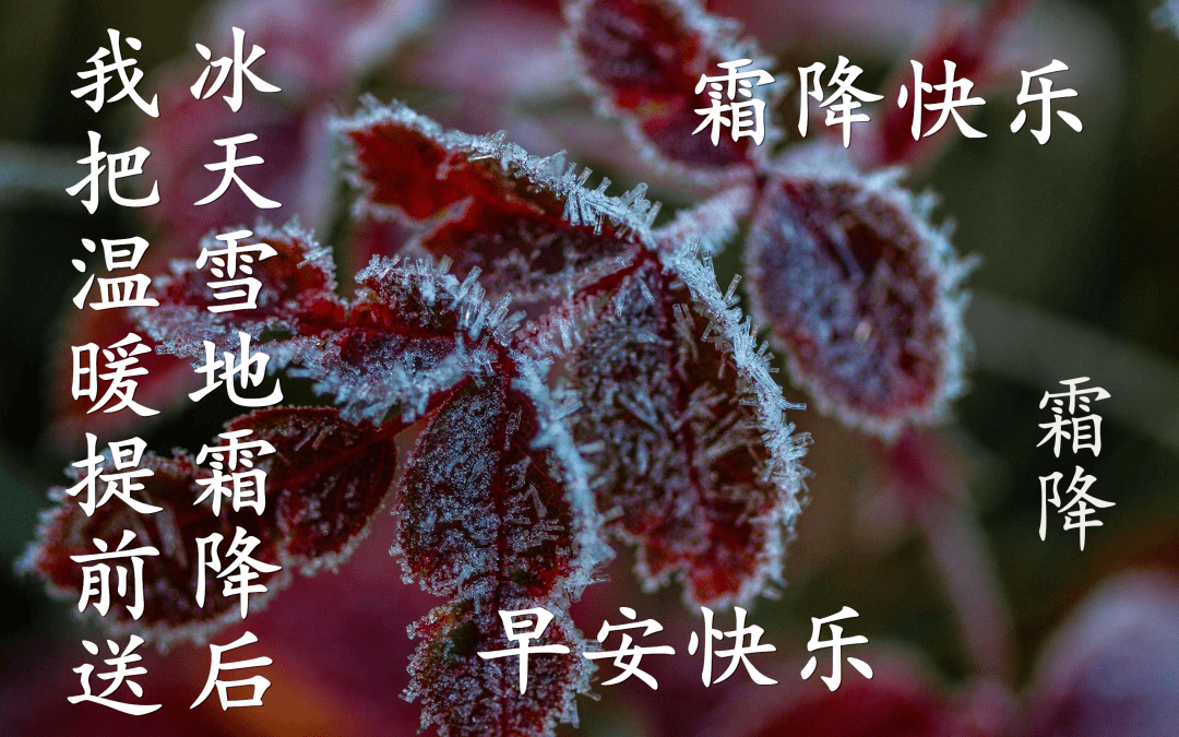 祝福了,舒畅了,美好如意找你扫荡了;开心了,健康了,祝你霜降节无限