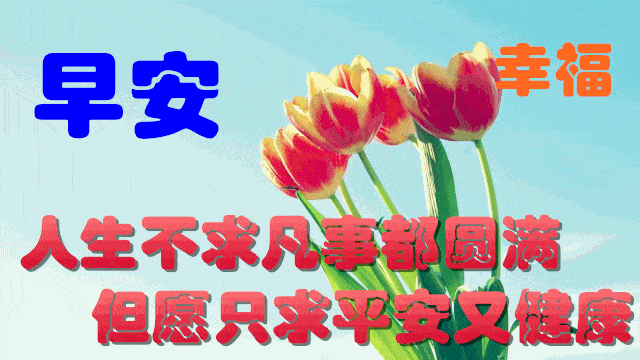 9d212b1071d246e883421de3d7c2a1e5.gif