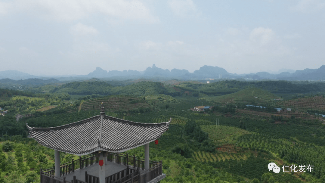 仁化gdp_韶关仁化电动公交车