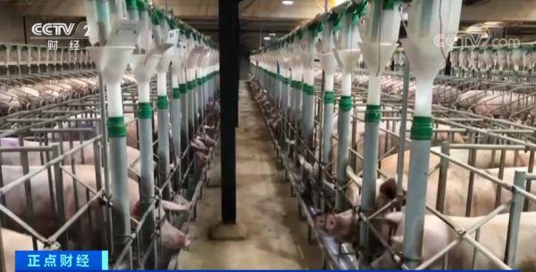 生产|持续下跌！