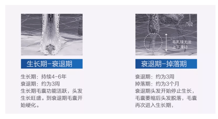 毛囊|流女星们的“狮子头”都是假象？录节目竟然当场掉下假发片，真相竟然是……