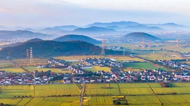 农村居民人均消费支出_中国人均水果消费支出(3)