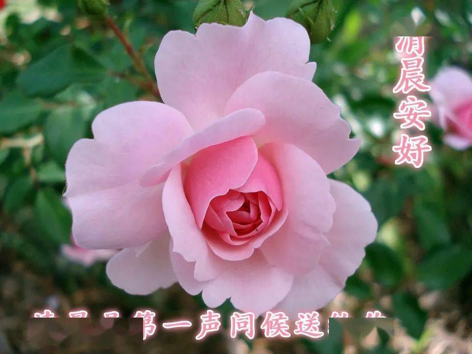 47b6056e4bcd4e34a065f1ebf96d7bdf.jpeg