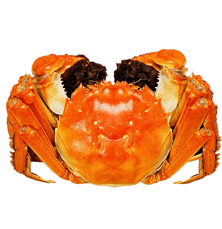 98073ae9344446b0a88fe7b181432e25.png