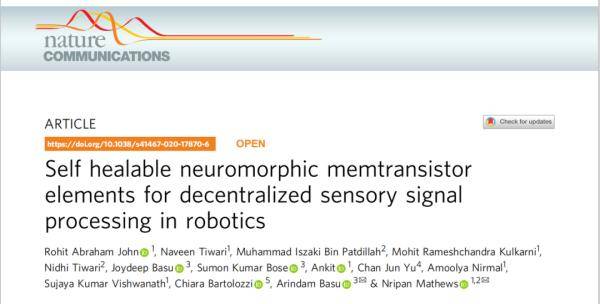 当机器人拥有痛觉后......