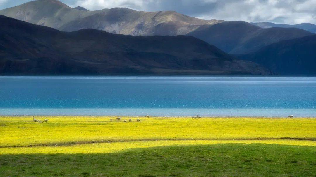 免票！半价！2020 “冬游西藏”福利已开启，错过等一年~_雪山