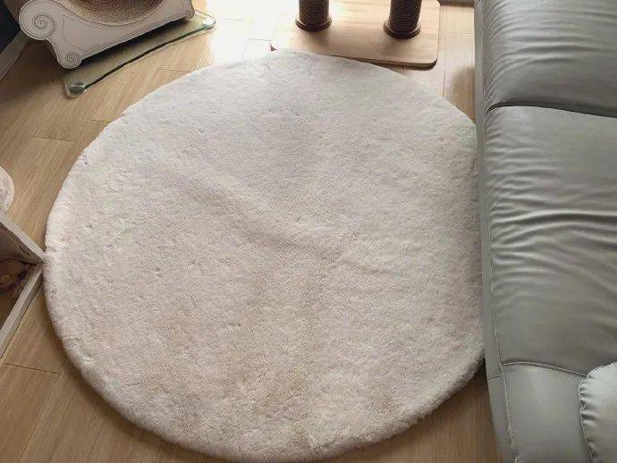 自己怎样洗地毯干净 bf6b73dec0a743a1b92039cdbd595f8b.jpeg