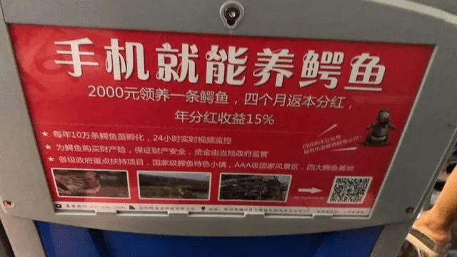 细节|疯狂收割！“云养牛”APP爆雷，投资人血本无归！惊人细节大曝光