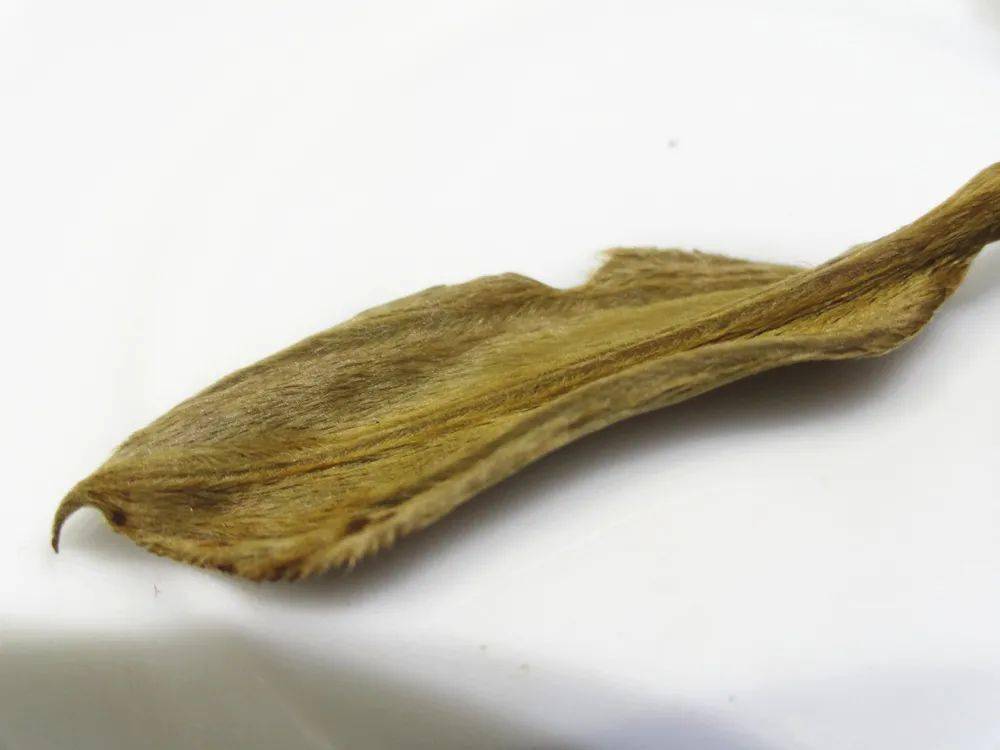 黑话|奸商最怕你搞明白的普洱茶术语：黑话怕内行（一）