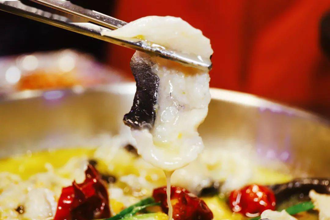 鲳鱼|还一堆人叫好！福州这个老板“逼良为鲳”